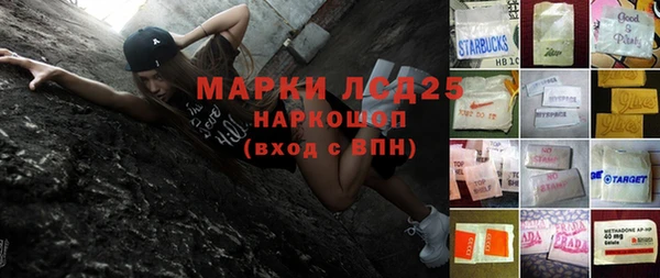 a pvp Бородино