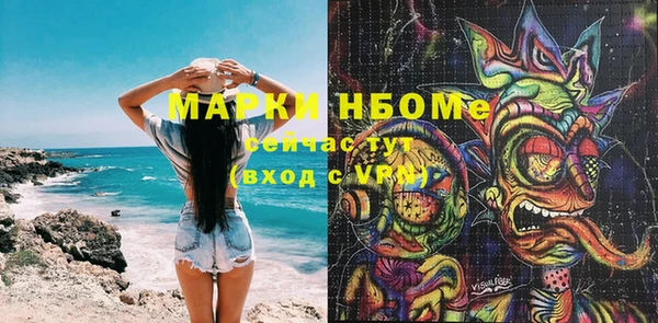 a pvp Бородино