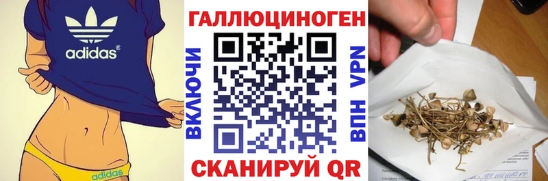 Купить где  Нерчинск  Галлюциногенные грибы прущие грибы 